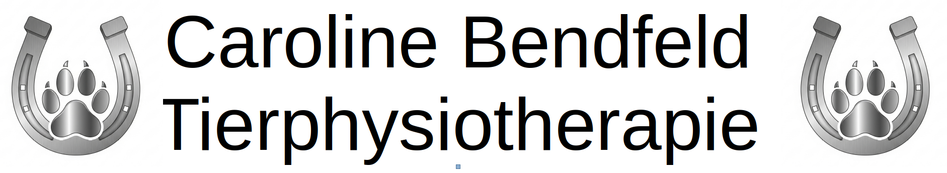 Tierphysio